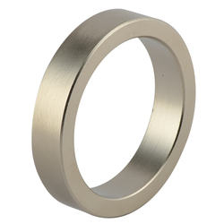 Magnetic Product Sintered Powerful Rare Earth Ring Magnet 