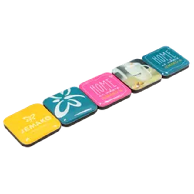 Fridge Magnet 16