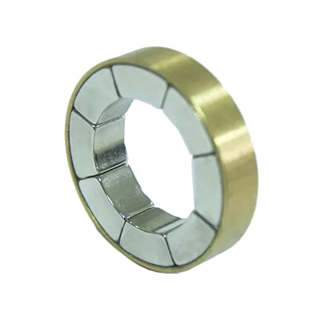 Custom N52 Multi-Pole Halbach Array Permanent Super Neodymium Magnet For Motor Medical Device