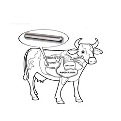 Factory Direct Supply Cow Stomach Magnet Rumen Magnet